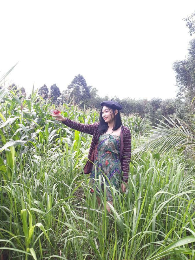 Cat Tien Farmer Lodge Quan Tom 外观 照片